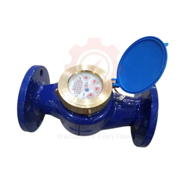 Amico Water Meter LXSG-50E 2 inch