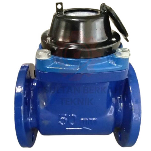 BR Water Meter 3 Inch 80mm