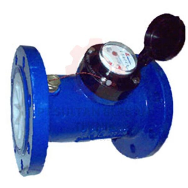 IPM Water Meter 6 Inch